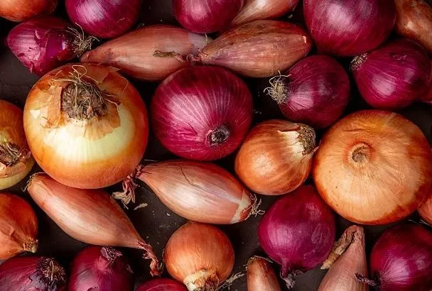 Зачем замачивать лук перед посадкой? Потому что иначе вы теряете треть урожая