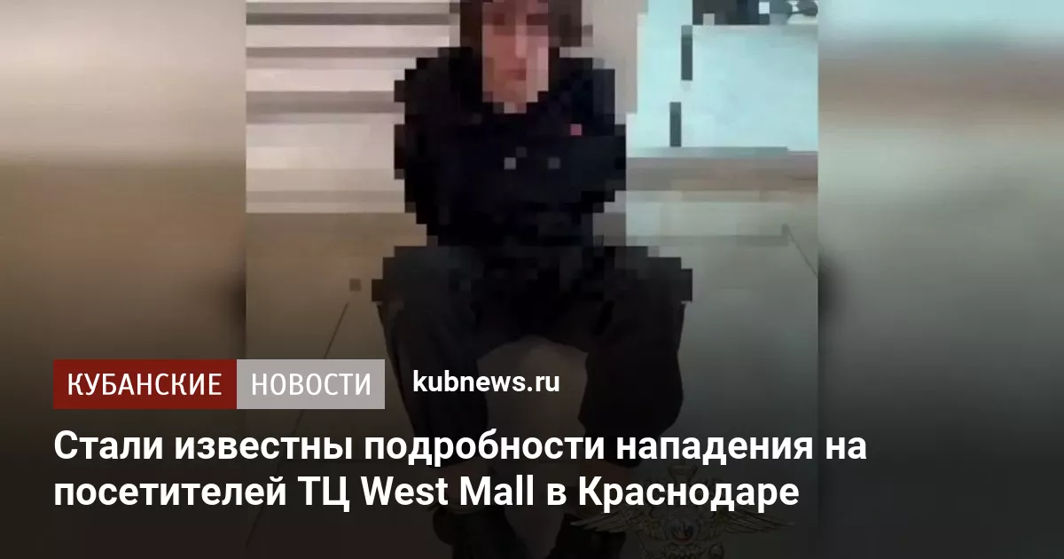Стали известны подробности нападения на посетителей ТЦ West Mall в Краснодаре