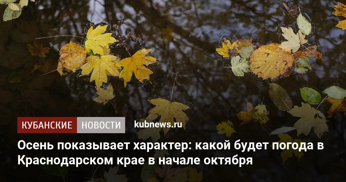Осень показывает характер: какой будет погода в Краснодарском крае в начале октября