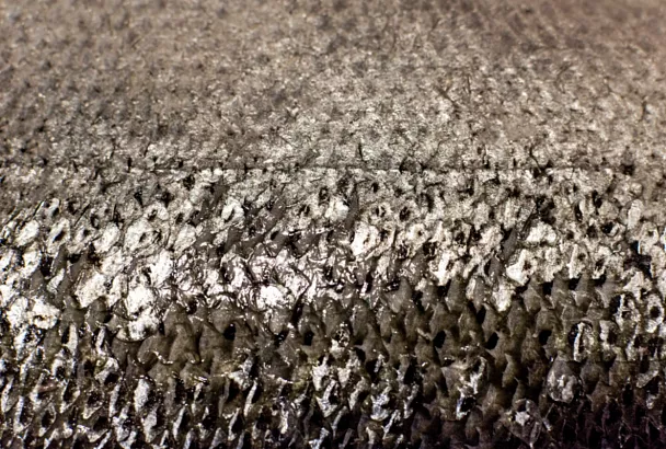 Ученые создали износостойкие материалы для транспортной отрасли