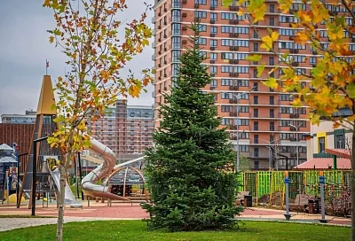 Семь метров новогоднего настроения: в ЖК «Самолет» высадили бельгийскую пихту