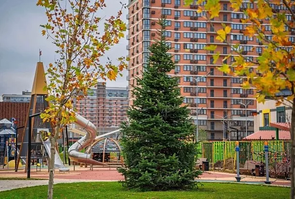 Семь метров новогоднего настроения: в ЖК «Самолет» высадили бельгийскую пихту