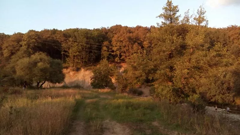 Без названия