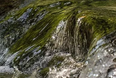 Почти в 84 млн рублей оценил Роспотребнадзор ущерб из-за сброса нечистот в реку Аше в Сочи