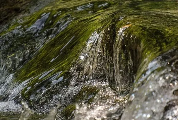 Почти в 84 млн рублей оценил Роспотребнадзор ущерб из-за сброса нечистот в реку Аше в Сочи