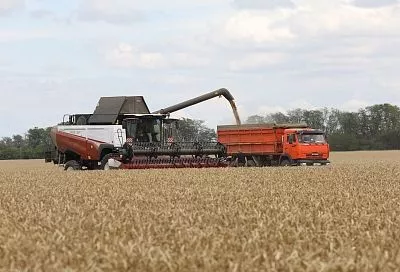 Крепкая экономика и стабильная занятость: аномальная засуха не помешала кубанскому агросектору вырасти по всем направлениям