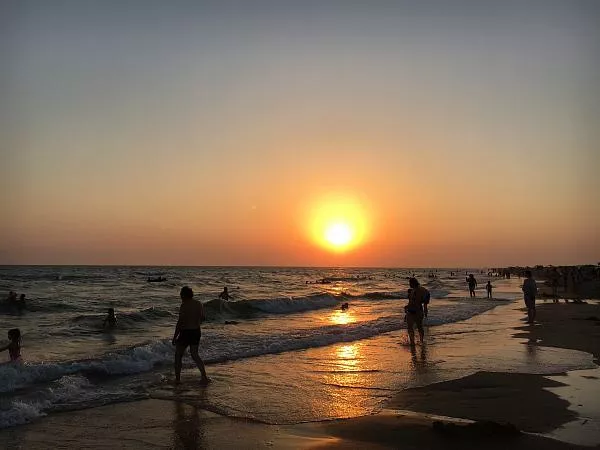 Без названия