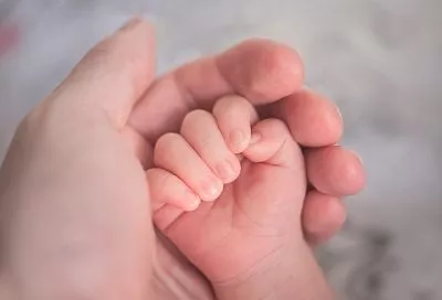 С начала года более 4,5 тысячи многодетных семей Кубани получили региональный маткапитал