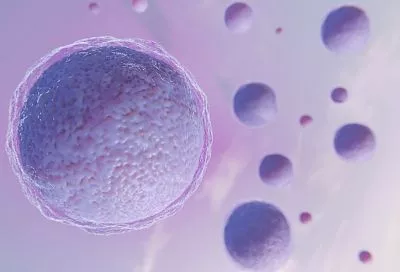 Российские учёные разработали улучшенную методику диагностики эмбрионов при ЭКО