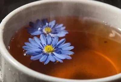 Чистим почки мягко и эффективно цветками василька - забываем про отеки и камни в почках 