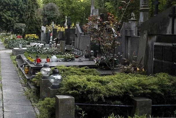 Вечные цветы для кладбища: 7 многолетников, которые переживут всех