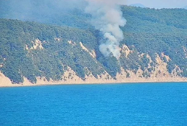 Площадь лесного пожара в Геленджике выросла почти до 3 га