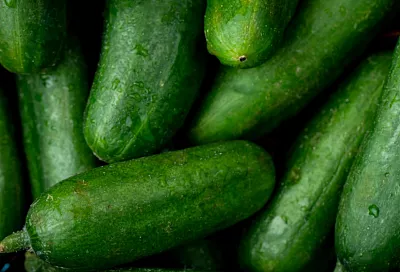 Минсельхоз: огурцы в России подешевели почти на 25% за месяц