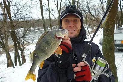 Александр Лесник