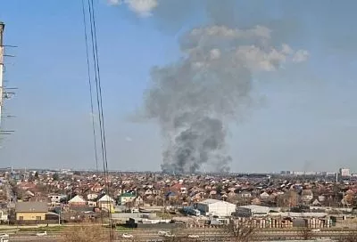 Трава на площади 700 кв. метров горит в районе краснодарского ипподрома