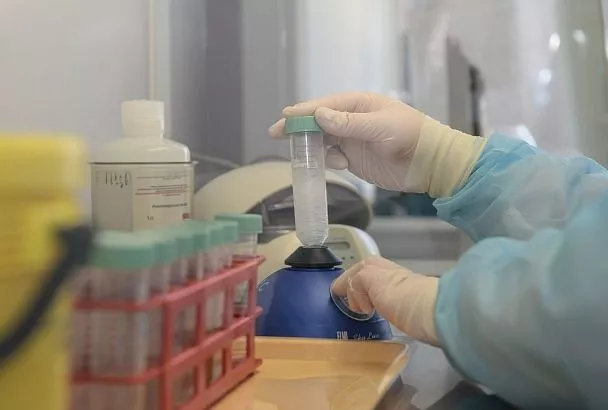 Систему ранней диагностики преждевременных родов разрабатывают ученые на Кубани