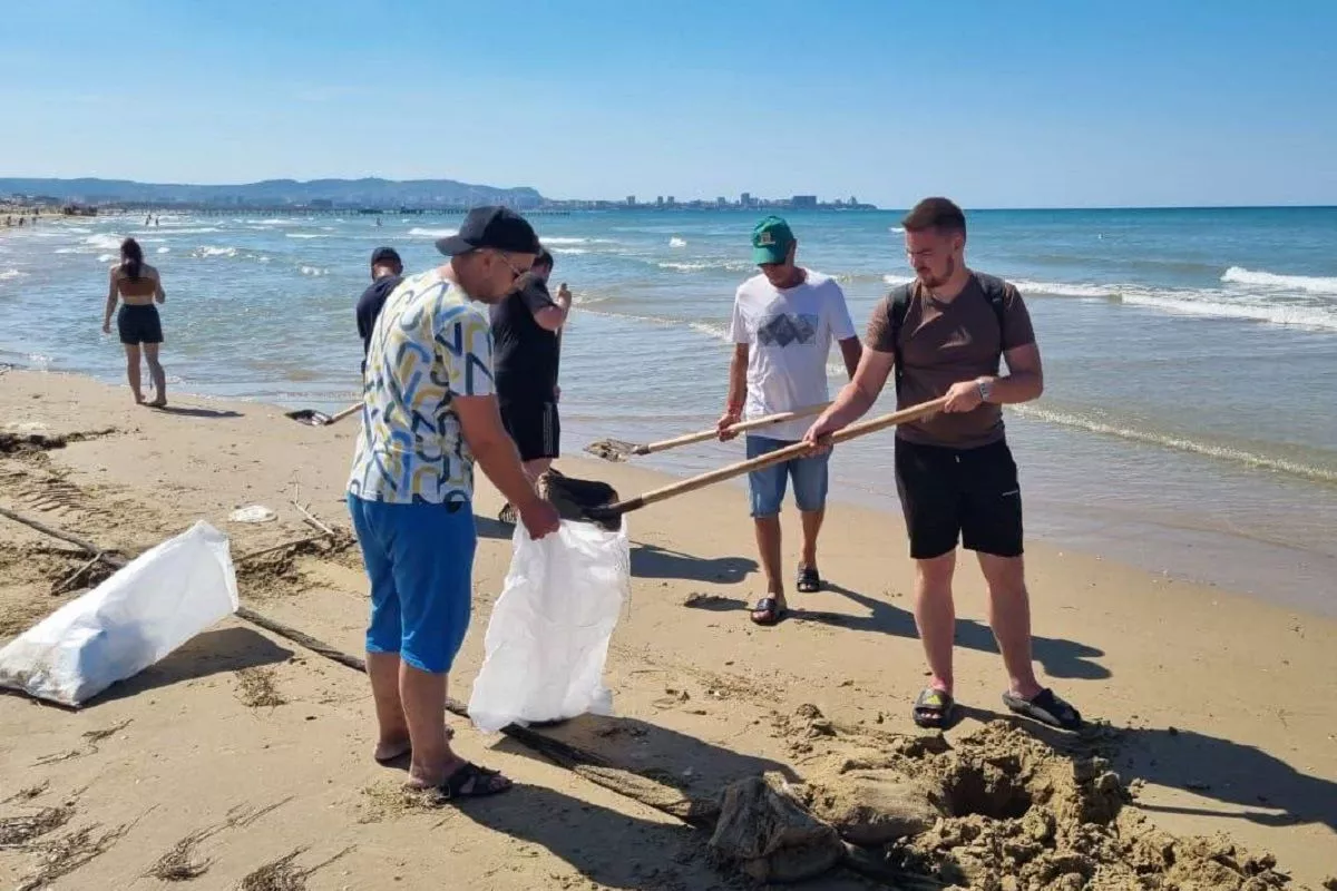 Новых выбросов на побережье Анапы не обнаружили