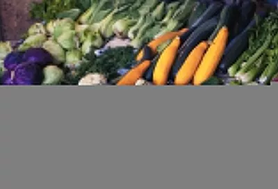 Свежие фрукты, овощи, мясо и рыба: 25 октября в Краснодаре откроют восемь ярмарок выходного дня