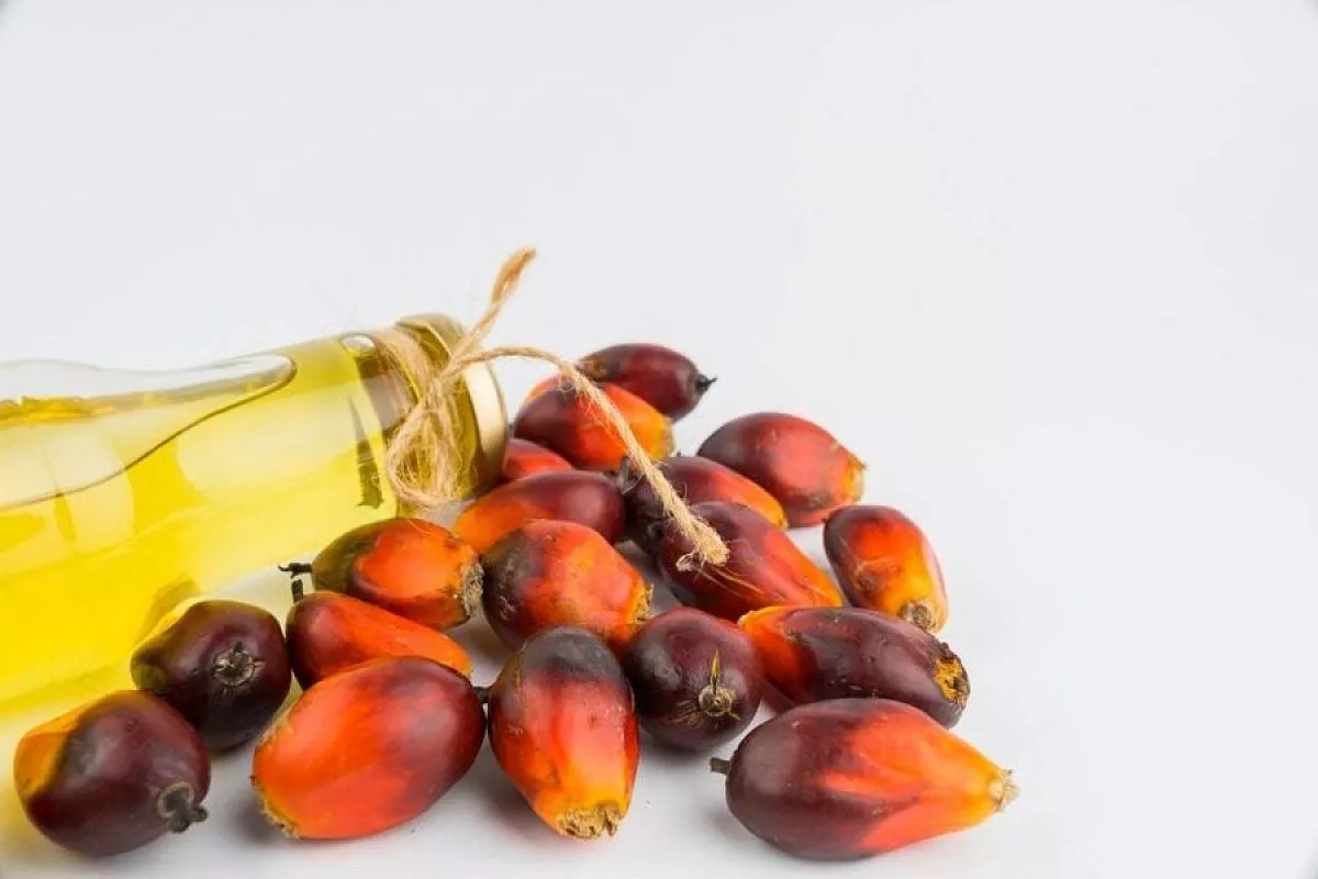 Россияне в опасности? Токсиколог объяснил, стоит ли бить тревогу из-за пальмового масла