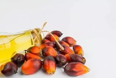 Россияне в опасности? Токсиколог объяснил, стоит ли бить тревогу из-за пальмового масла