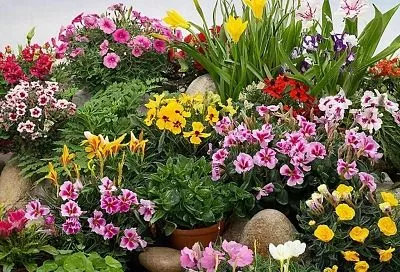 Пошаговое руководство по планированию идеальной клумбы: от эскиза до цветения: 