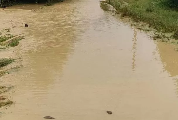 Вода отрезала группу из 17 туристов под Горячим Ключом: их эвакуировали спасатели МЧС