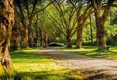 По поручению губернатора в Славянском районе благоустраивают парк