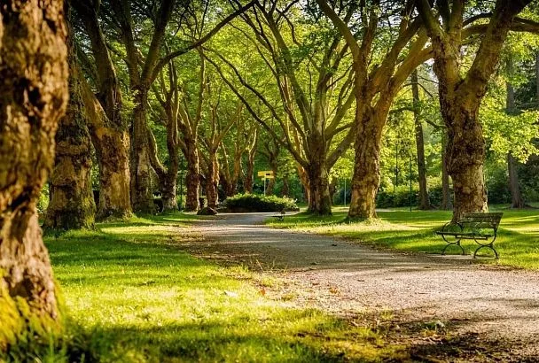По поручению губернатора в Славянском районе благоустраивают парк
