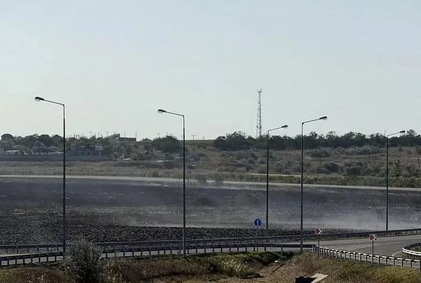 Крупный пожар в плавнях Анапы потушен