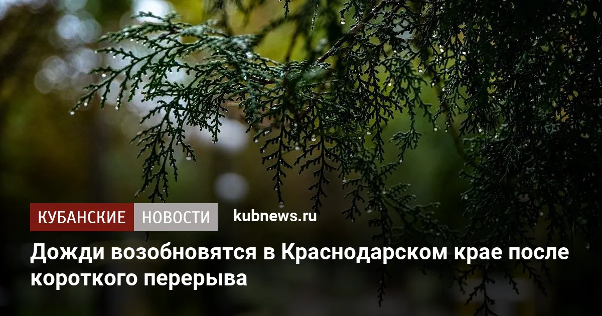 Дожди возобновятся в Краснодарском крае после короткого перерыва