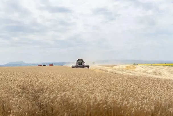 Губернаторские инициативы: от слов к делу