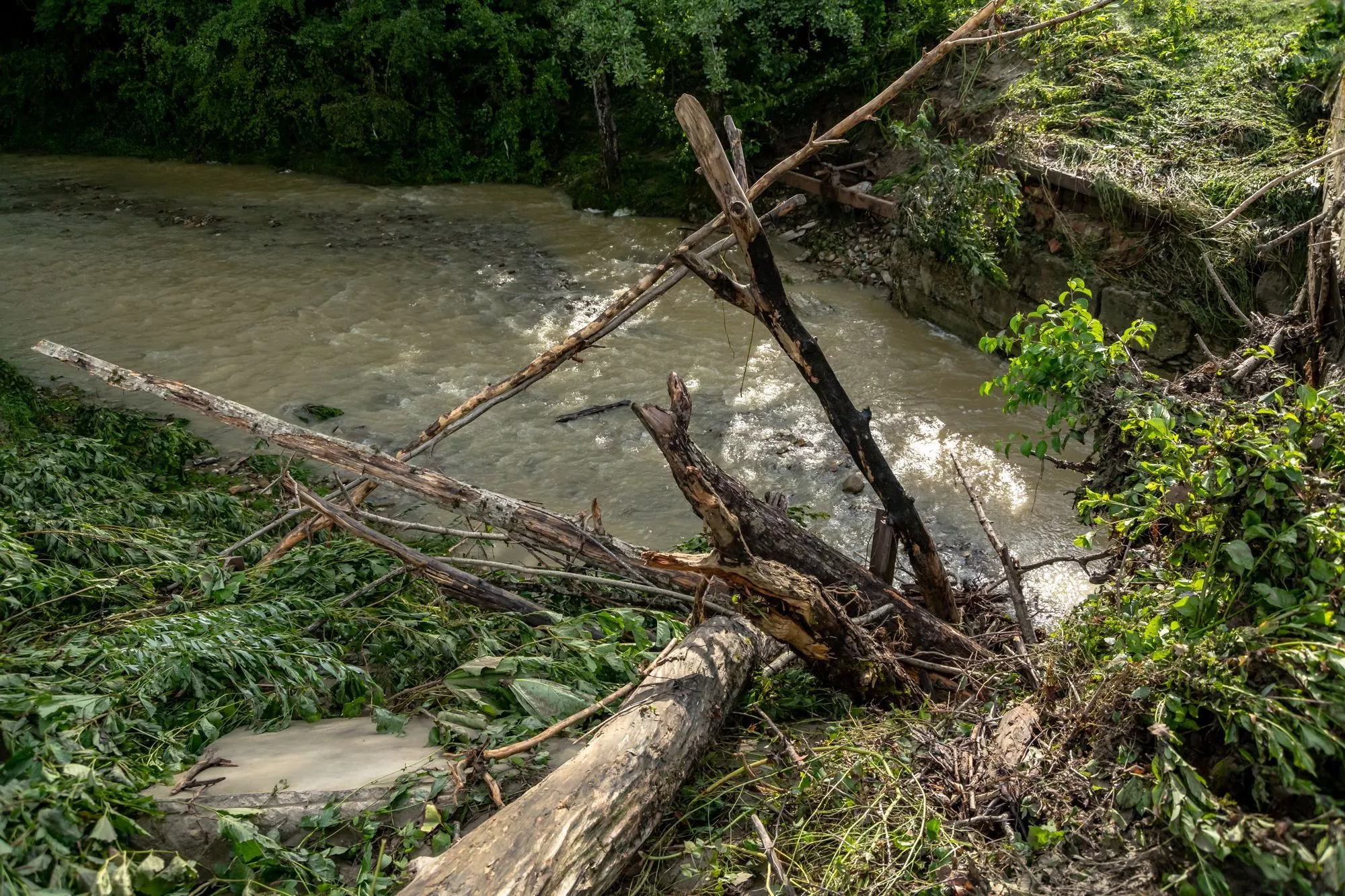 Ливень, гроза, град и подъем рек. Краснодарский край накроет непогода