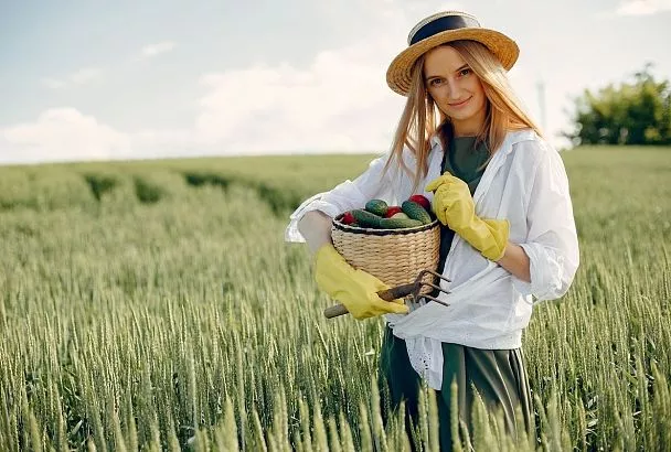 За десять лет Россия нарастила экспорт продукции АПК в три раза