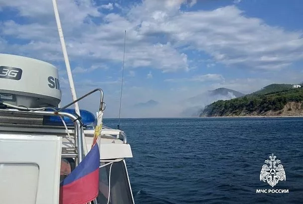 Ветер и трудная доступность осложняют тушение лесных пожаров в Геленджике