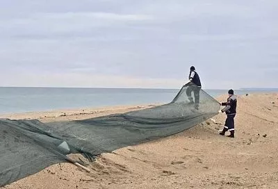 Новые выбросы мазута на пляжах Анапы и Темрюкского района за две недели не обнаружены