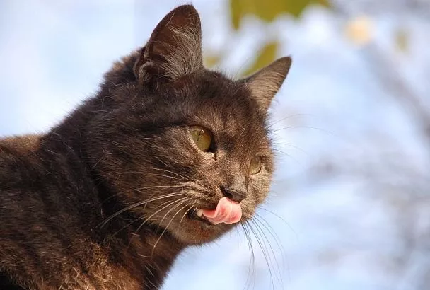 Экстремальное потепление идет на Краснодарский край. Синоптики дали прогноз