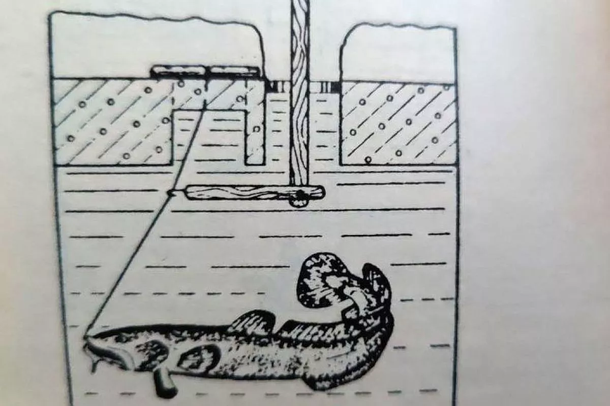 Ставлю жерлицы на зимнюю щуку – и ухожу хоть на 3–5 суток: секрет улова в простом приспособлении (на рисунке)