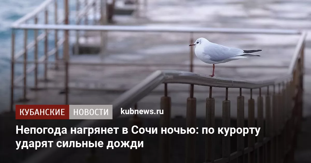 Непогода нагрянет в Сочи ночью: по курорту ударят сильные дожди