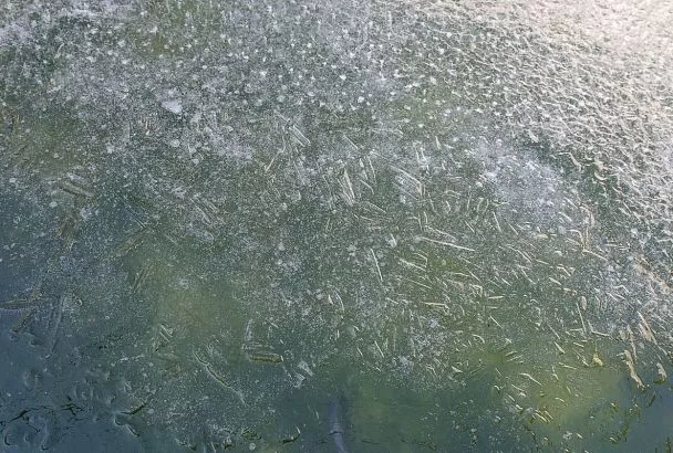 Толщина льда на водоемах в Краснодаре составила от двух до четырех сантиметров