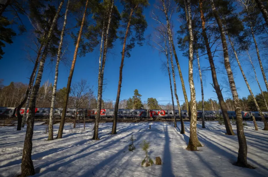 Под Ульяновском семь вагонов поезда Челябинск — Москва сошли с рельсов