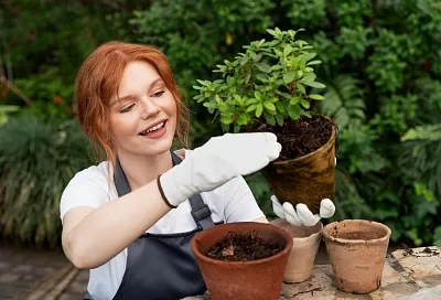 Не тот кактус: за какие растения на даче можно получить уголовный срок