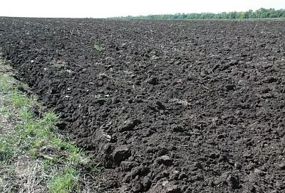 Сметана, дрожжи и сахар: мой эксперимент по улучшению качества почвы ошеломил результатом, поэтому обхожусь без навоза и собираю огромные урожаи 