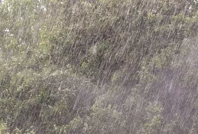 Семь ведер на квадратный метр: экстремальные ливни с новой силой ударят по Сочи