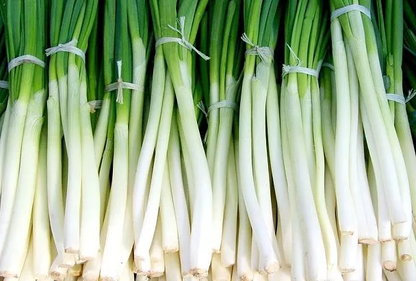 4 ложки в лейку, и зеленый лук нарастит мощное перо: пора готовить место под урожай крупных головок