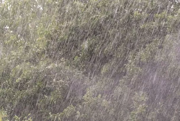 Семь ведер на квадратный метр: экстремальные ливни с новой силой ударят по Сочи