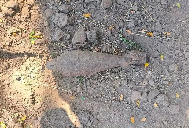Рабочие нашли мину времен войны во время уборки винограда в Темрюкском районе