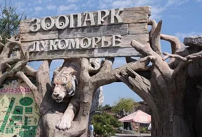 Курорты Краснодарского края вошли в топ-10 экономных направлений для отдыха в декабре