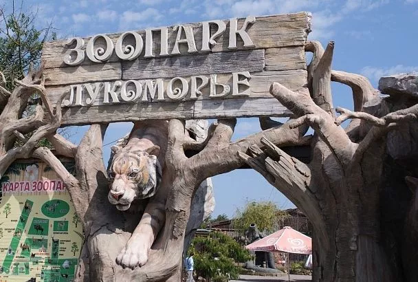 Курорты Краснодарского края вошли в топ-10 экономных направлений для отдыха в декабре