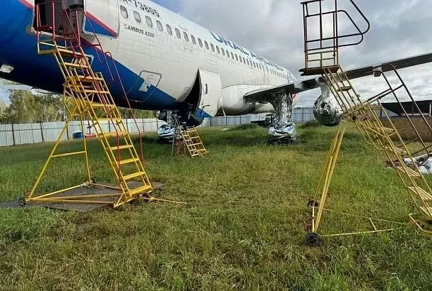 Посадивший в поле самолет рейса Сочи - Омск пилот объяснил свое решение