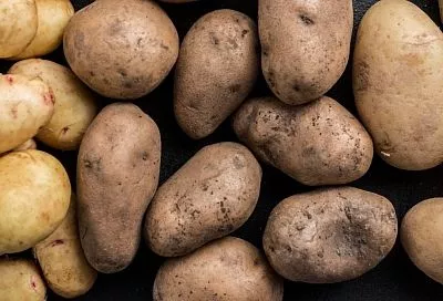 Мордовия возглавила рейтинг регионов с самым дешёвым картофелем